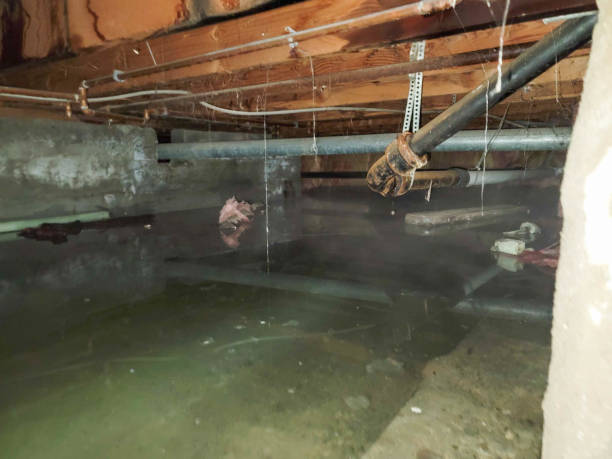 Best 24-hour water damage restoration  in Thomaston, GA