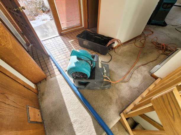Best Sewage cleanup and water damage restoration  in Thomaston, GA