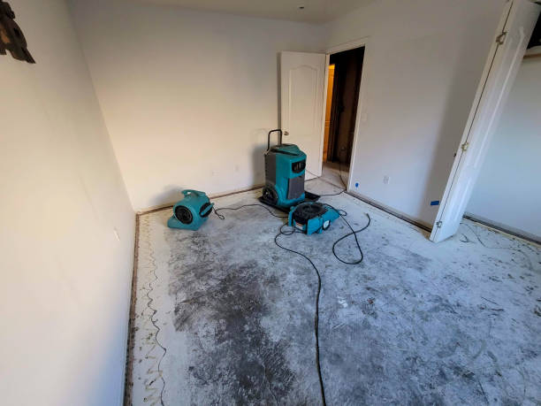 Best 24-hour water damage restoration  in Thomaston, GA