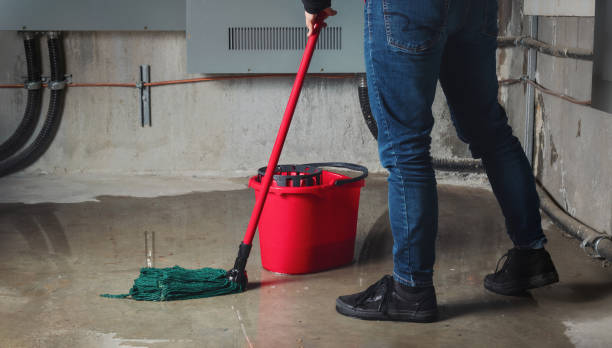 Best Basement water damage restoration  in Thomaston, GA