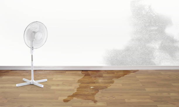 Best Carpet water damage restoration  in Thomaston, GA