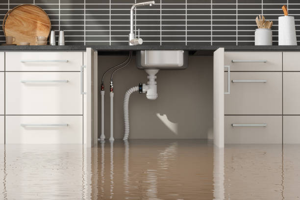 Best Flood damage cleanup  in Thomaston, GA