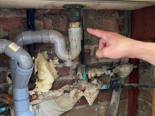 Best Local water damage restoration  in Thomaston, GA